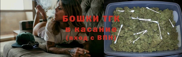ПСИЛОЦИБИНОВЫЕ ГРИБЫ Михайлов