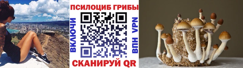 Галлюциногенные грибы мицелий  мега сайт  Раменское  цена наркотик 